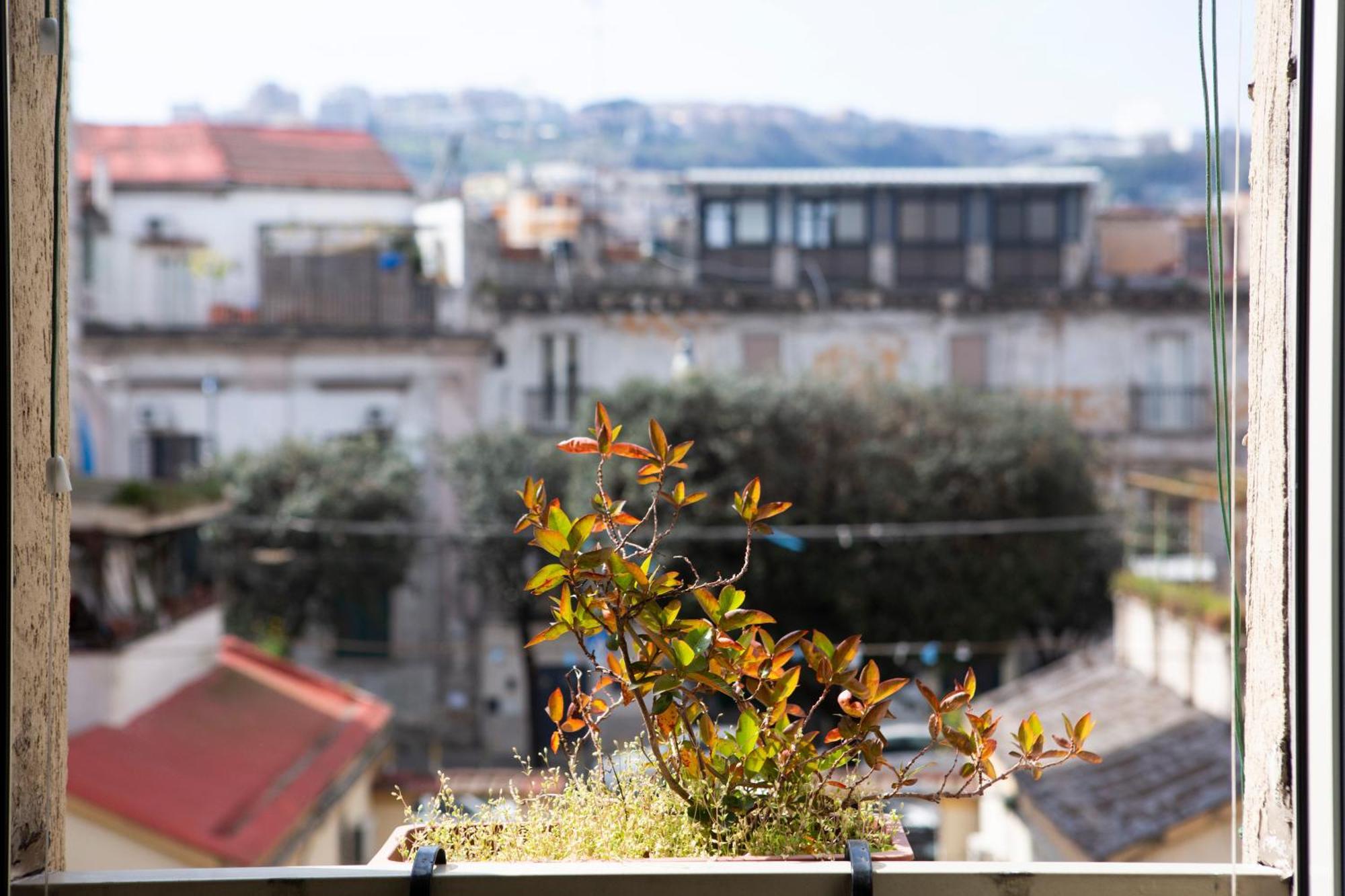 Bnb Etnuvio, Double Rooms In Naples Extérieur photo